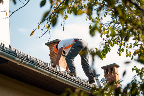 Best Rubber Roofing (EPDM, TPO)  in Ocean View, DE