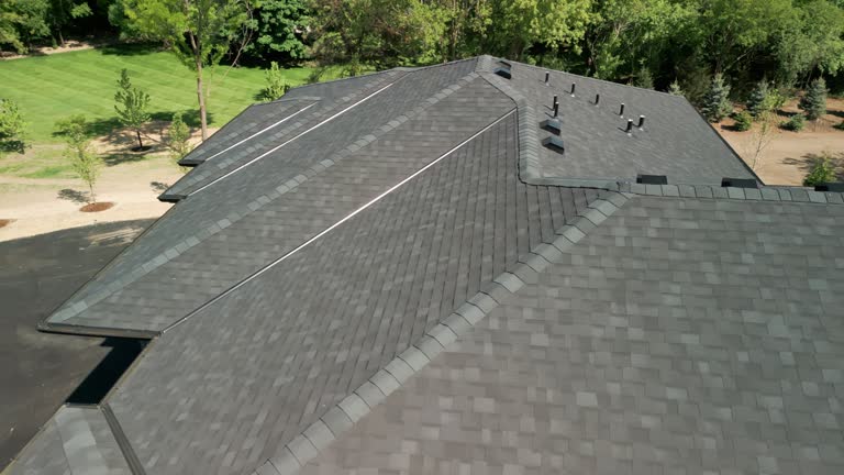 Best Green or Eco-Friendly Roofing Solutions  in Ocean View, DE