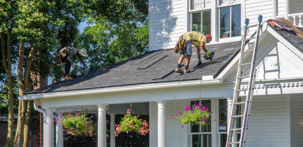 Best Roof Ventilation Installation  in Ocean View, DE